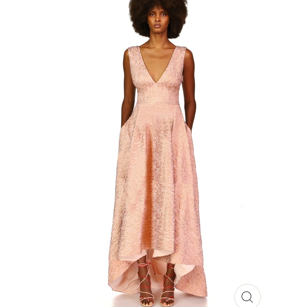 NWT Theia Dress